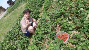 Marek sbírá jahody