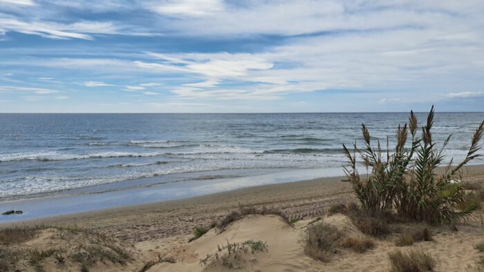 Dunas de Artola o Cabopino